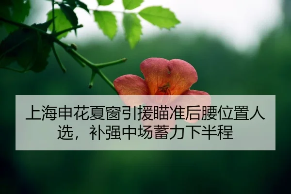 shang-hai-shen-hua-xia-chuang-yin-yuan-miao-zhun-hou-yao-wei-zhi-ren-xuan-bu-qiang-zhong-chang-xu-li-xia-ban-cheng-2-311.jpg