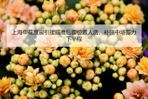 上海申花夏窗引援瞄准后腰位置人选，补强中场蓄力下半程