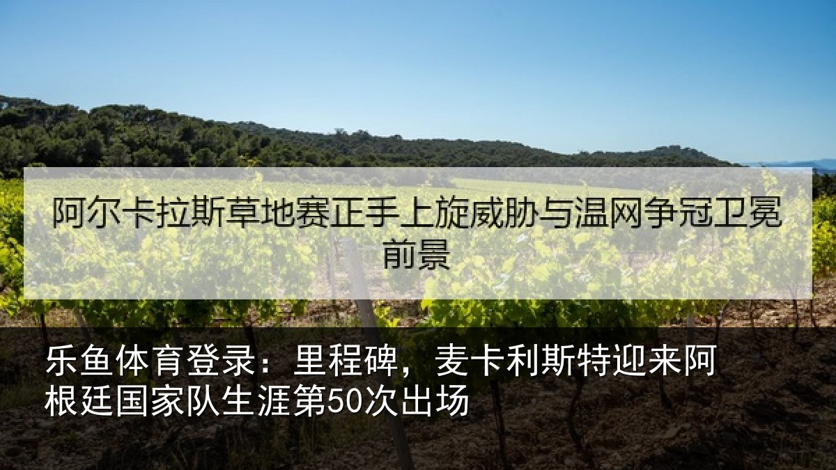 乐鱼体育登录:里程碑,麦卡利斯特迎来阿根廷国家队生涯第50次出场