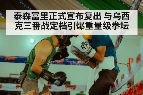 Oleksandr Usyk boxing match