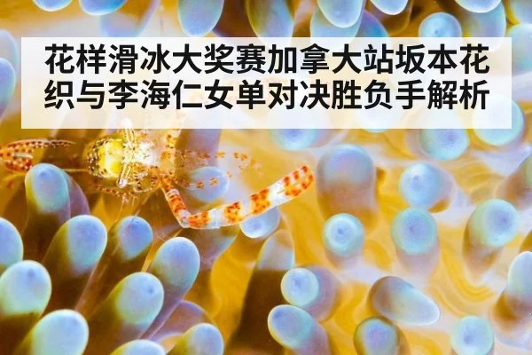 花样滑冰大奖赛加拿大站坂本花织与李海仁女单对决胜负手解析